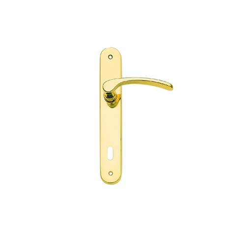 Guarnitura con placca serie Eva - 90 mm. - foro chiave - ottone lucido