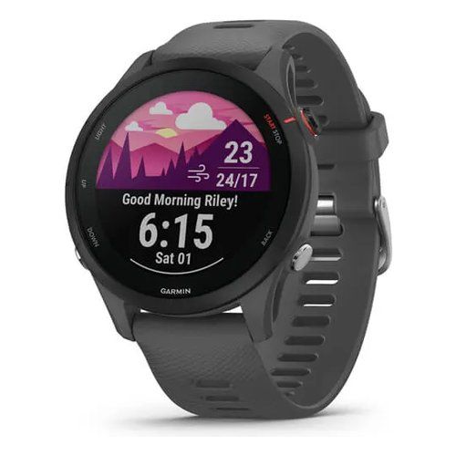 Garmin Smartwatch 255 Smartwatch Garmin 010 02641 10 FORERUNNER 255 Slate gray 0753759279875