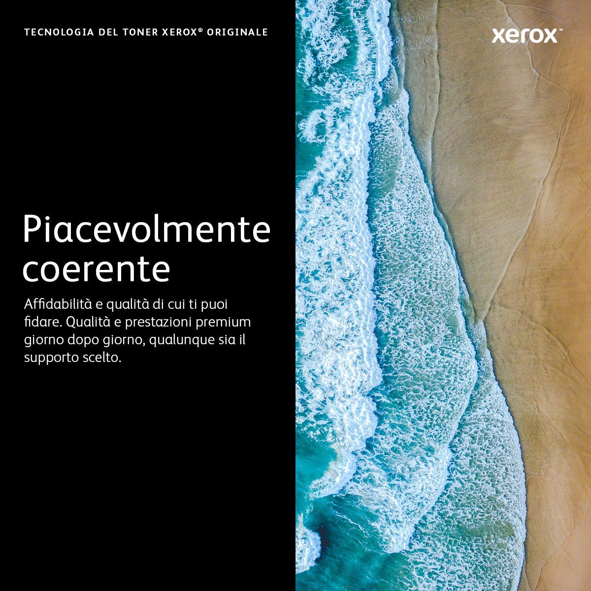 Foto 5 di 7