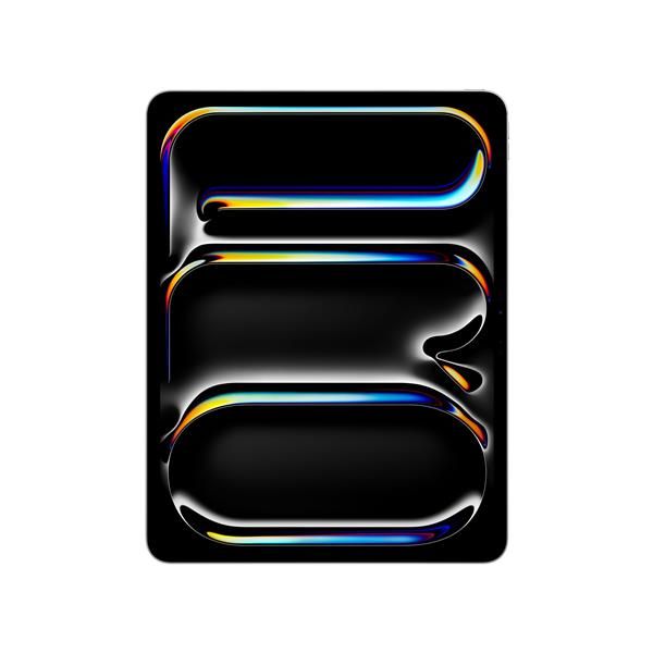 Apple IPAD PRO 13" WI-FI 2TB SLV 0195950400144