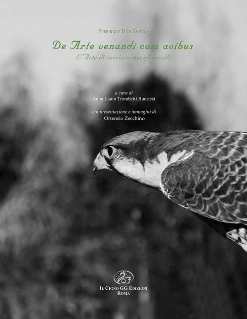 IL CIGNO GG EDIZIONI 5477002