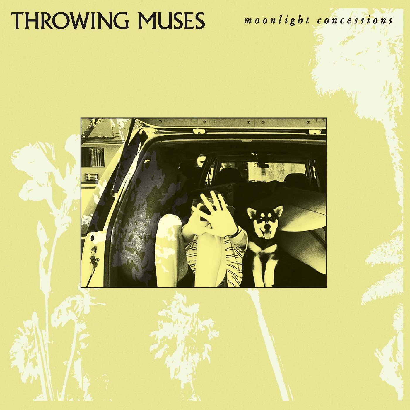 Vinile Throwing Muses - Moonlight Concessions Us Exclusive NUOVO SIGILLATO EDIZIONE DEL SUBITO DISPONIBILE