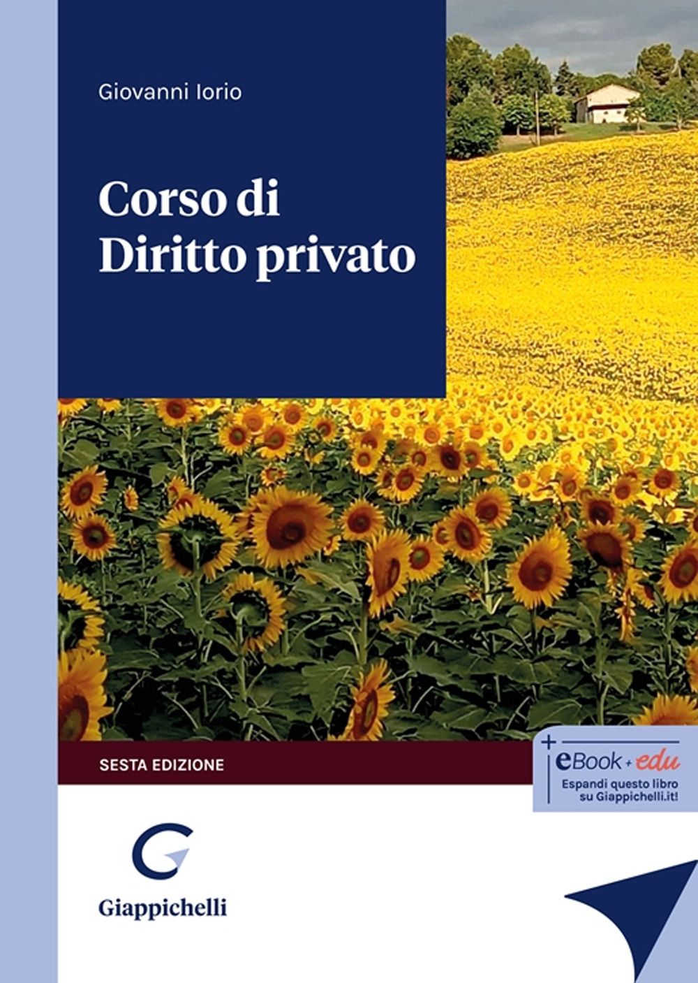 Libri Iorio - Corso Di Diritto Privato Vi NUOVO SIGILLATO EDIZIONE DEL SUBITO DISPONIBILE