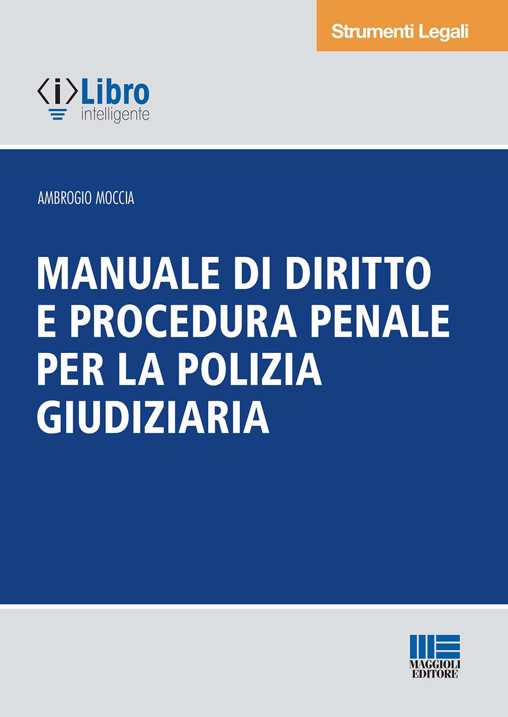 MAGGIOLI EDITORE 5126067