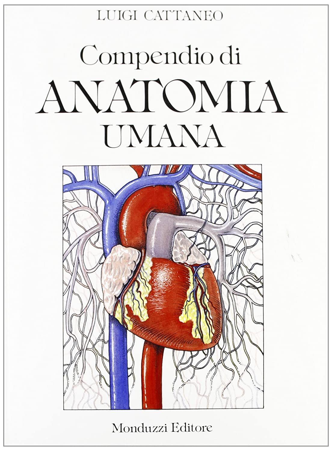 Libri First International Conference Of Gastroenterological Carcinogenesis Hiroshima 22-24 Ottobre 1996 NUOVO SIGILLATO SUBITO DISPONIBILE