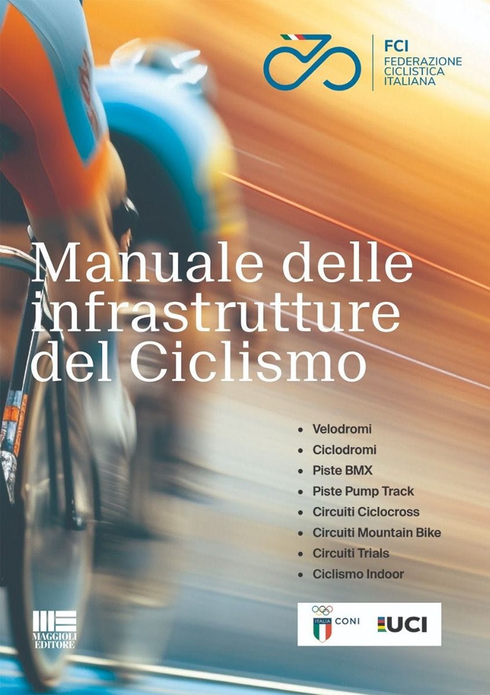 MAGGIOLI EDITORE 7487644