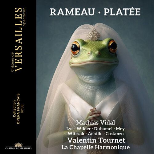 CHATEAU DE VERSAILLES 8137772
