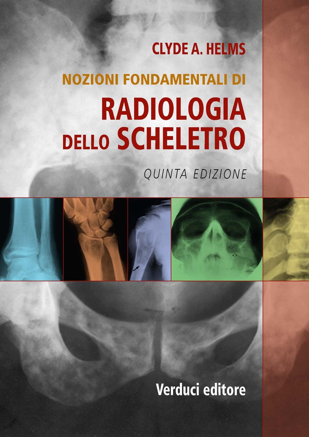 VERDUCI 4775819