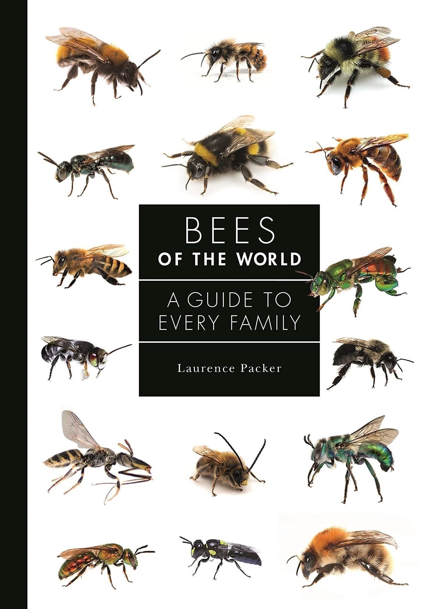 PRINCETON UNIVERSITY PRESS 6521926