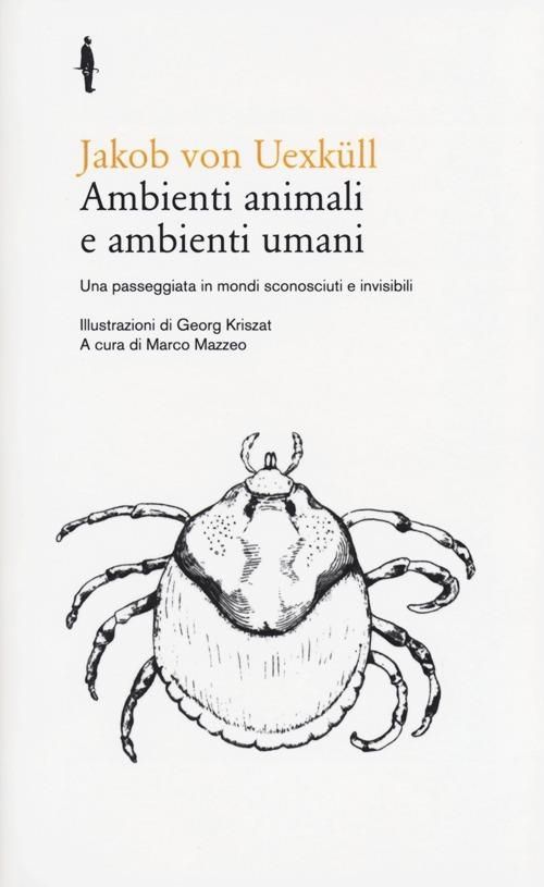 Immagine Prodotto