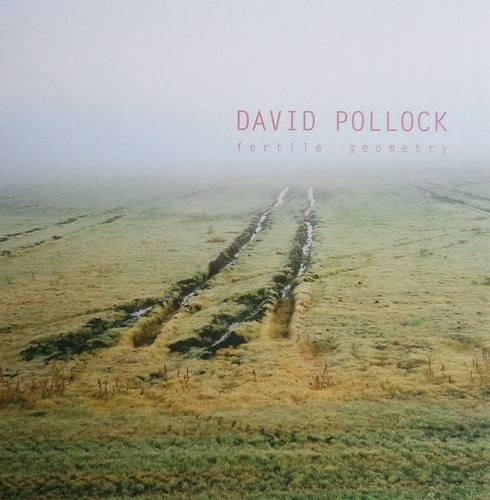 Libri David Pollock - Fertile Geometry. Ediz. Illustrata NUOVO SIGILLATO, EDIZIONE DEL 06/06/2011 SUBITO DISPONIBILE
