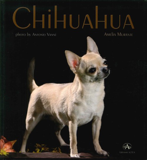 Libri Amelia Murante - Chihuahua NUOVO SIGILLATO, EDIZIONE DEL 01/01/2015 SUBITO DISPONIBILE