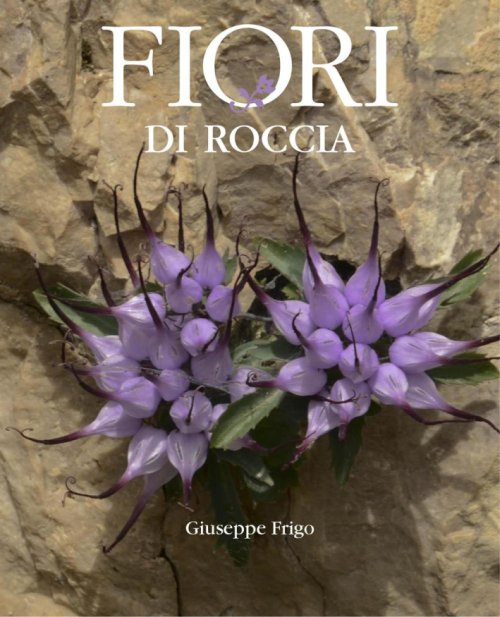 Libri Giuseppe Frigo - Fiori Di Roccia NUOVO SIGILLATO, EDIZIONE DEL 01/01/2016 SUBITO DISPONIBILE