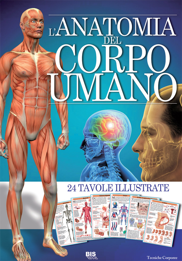 Libri Aa.Vv. - L' Anatomia Del Corpo Umano NUOVO SIGILLATO, EDIZIONE DEL 05/06/2015 SUBITO DISPONIBILE