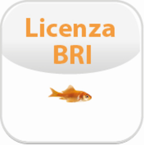 LICENSE (HARDWARE ACTIVATION) FOR