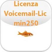 Licenza Voicemail per 1 porta (> 250)