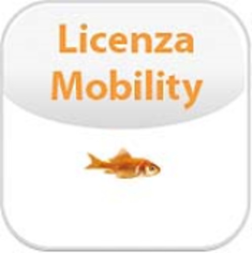 MOBILITY LICENSE