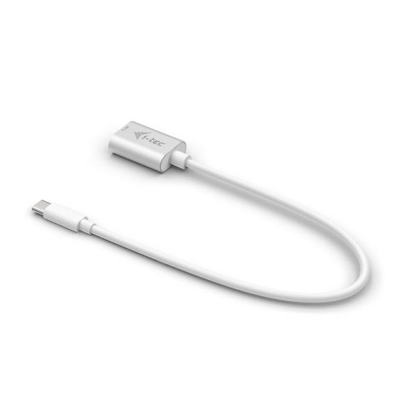 USB TYPE C TO TYPE A ADAPTER 20CM