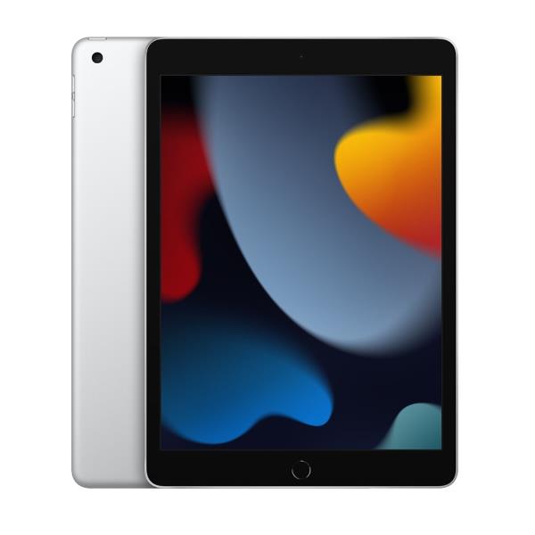 Apple 10.2-inch iPad Wi-Fi 256GB - Silver 0194252516836