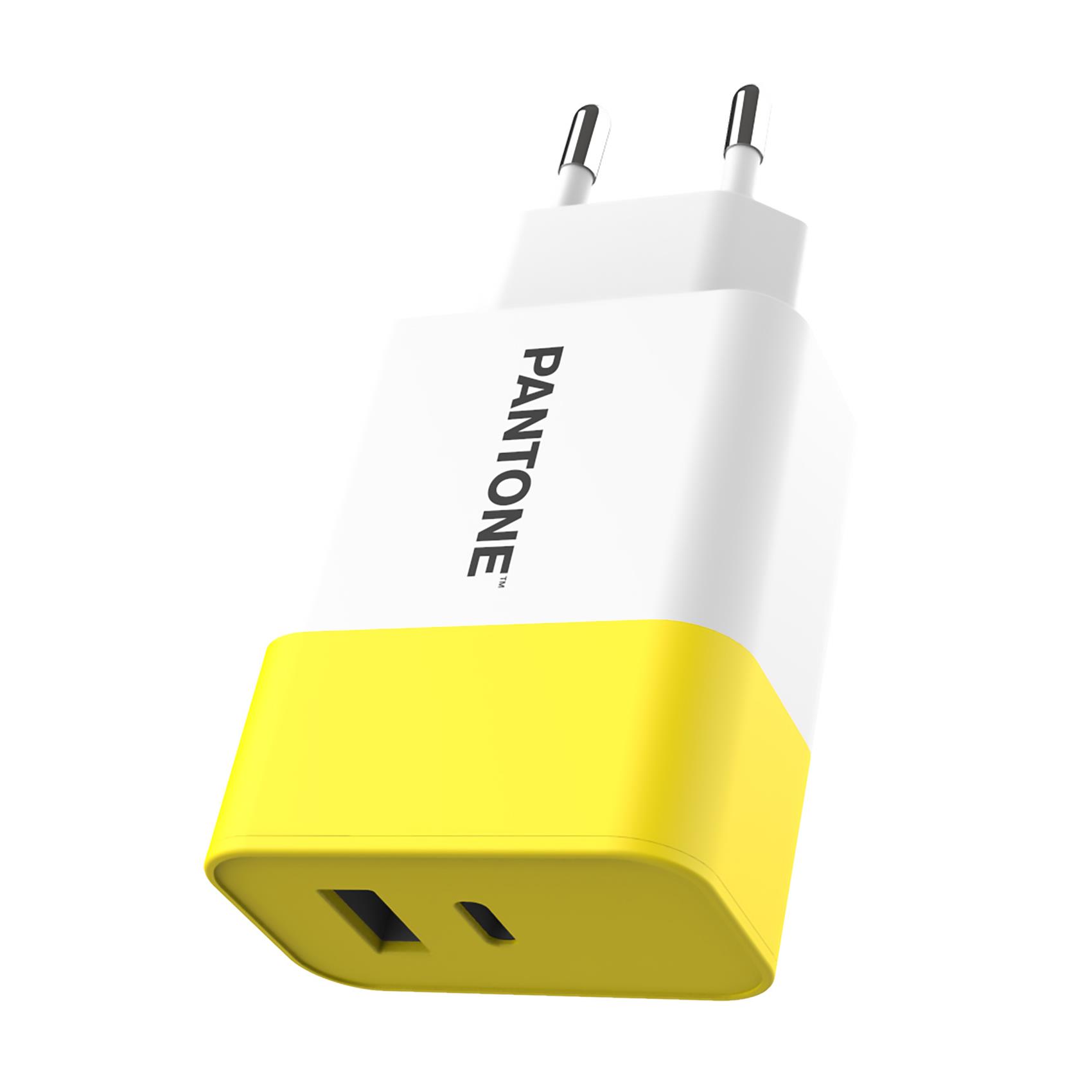 PANTONE - USB-A and USB-C Wall Charger 20W