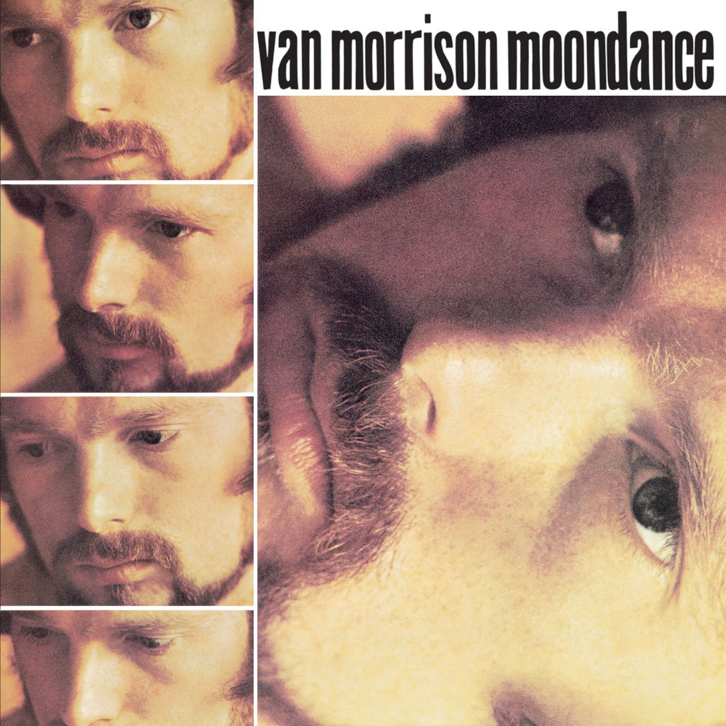 Vinile Van Morrison - Moondance NUOVO SIGILLATO EDIZIONE DEL SUBITO DISPONIBILE