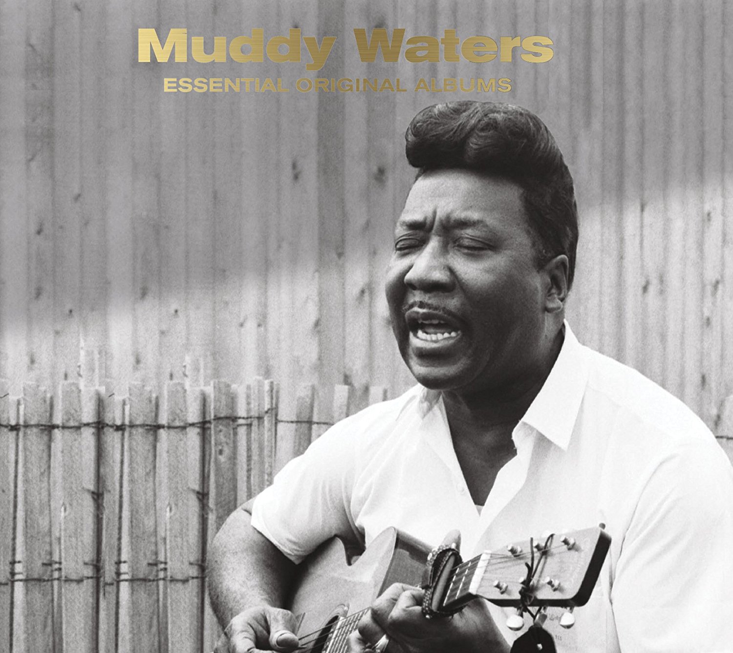 Audio Cd Muddy Waters - Essential Original Albums (3 Cd) NUOVO SIGILLATO, EDIZIONE DEL 04/11/2016 SUBITO DISPONIBILE