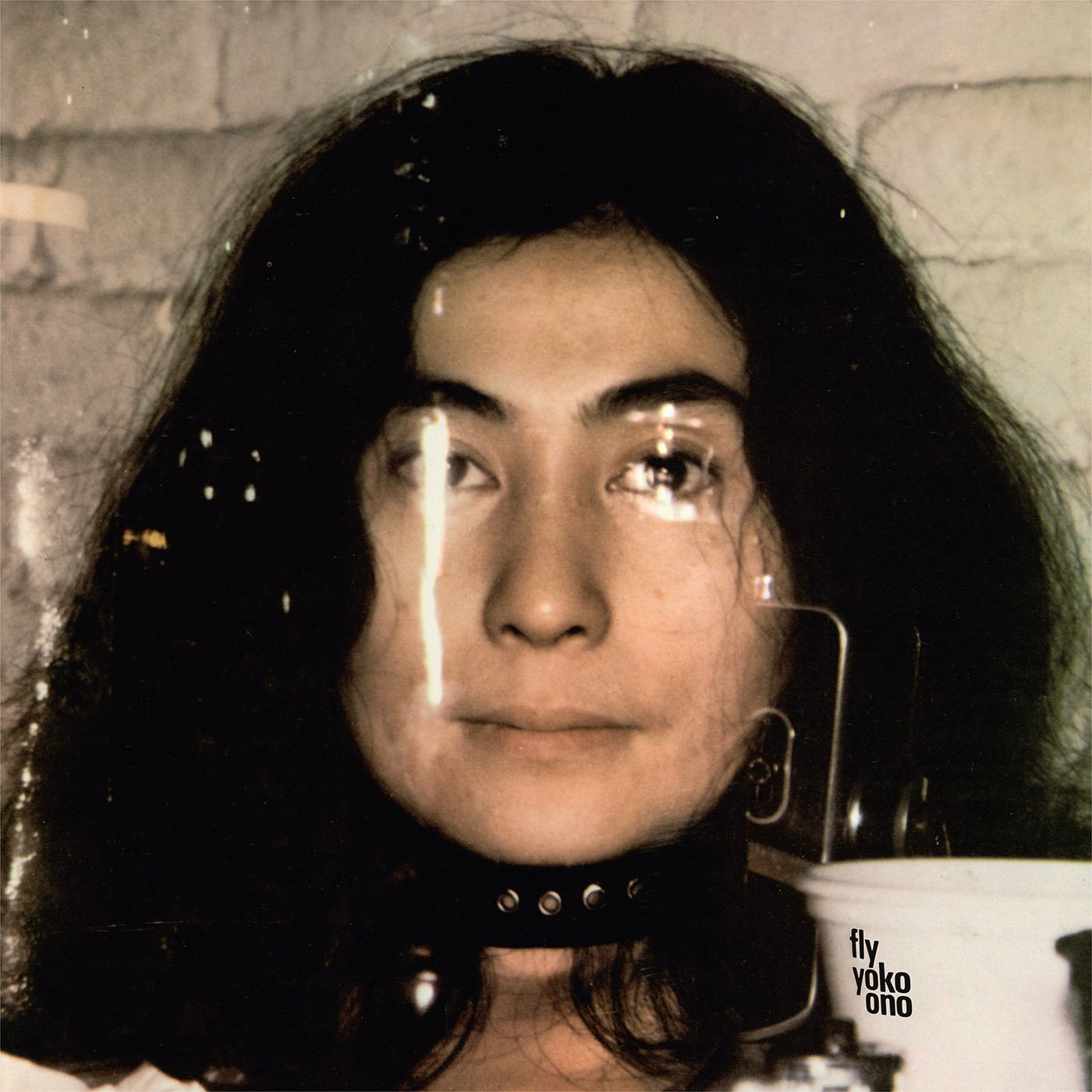 Vinile Yoko Ono - Fly (2 Lp) NUOVO SIGILLATO, EDIZIONE DEL 14/07/2017 SUBITO DISPONIBILE