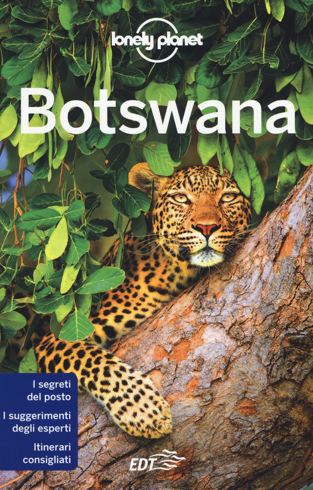 Libri Anthony Ham / Trent Holden - Botswana NUOVO SIGILLATO, EDIZIONE DEL 22/02/2018 SUBITO DISPONIBILE