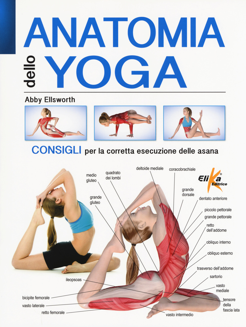 Libri Abby Ellsworth - Anatomia Dello Yoga. Consigli Per La Corretta Esecuzione Delle Asana. Ediz. A Colori NUOVO SIGILLATO, EDIZIONE DEL 15/10/2018 SUBITO DISPONIBILE