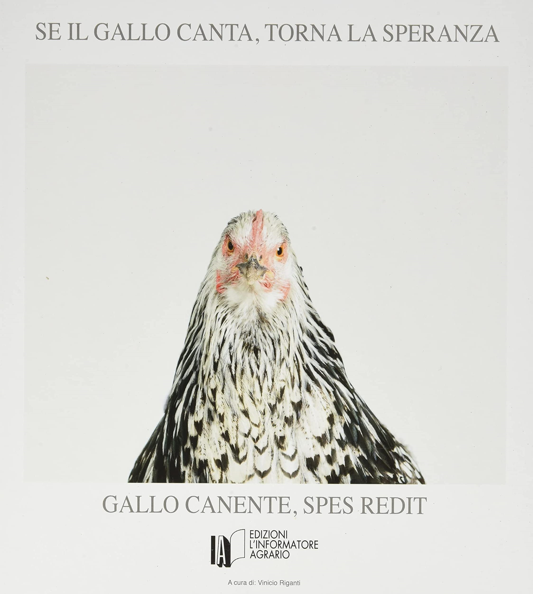 Libri Se Il Gallo Canta, Torna La Speranza. Gallo Canente, Spes Redit NUOVO SIGILLATO, EDIZIONE DEL 01/01/2019 SUBITO DISPONIBILE