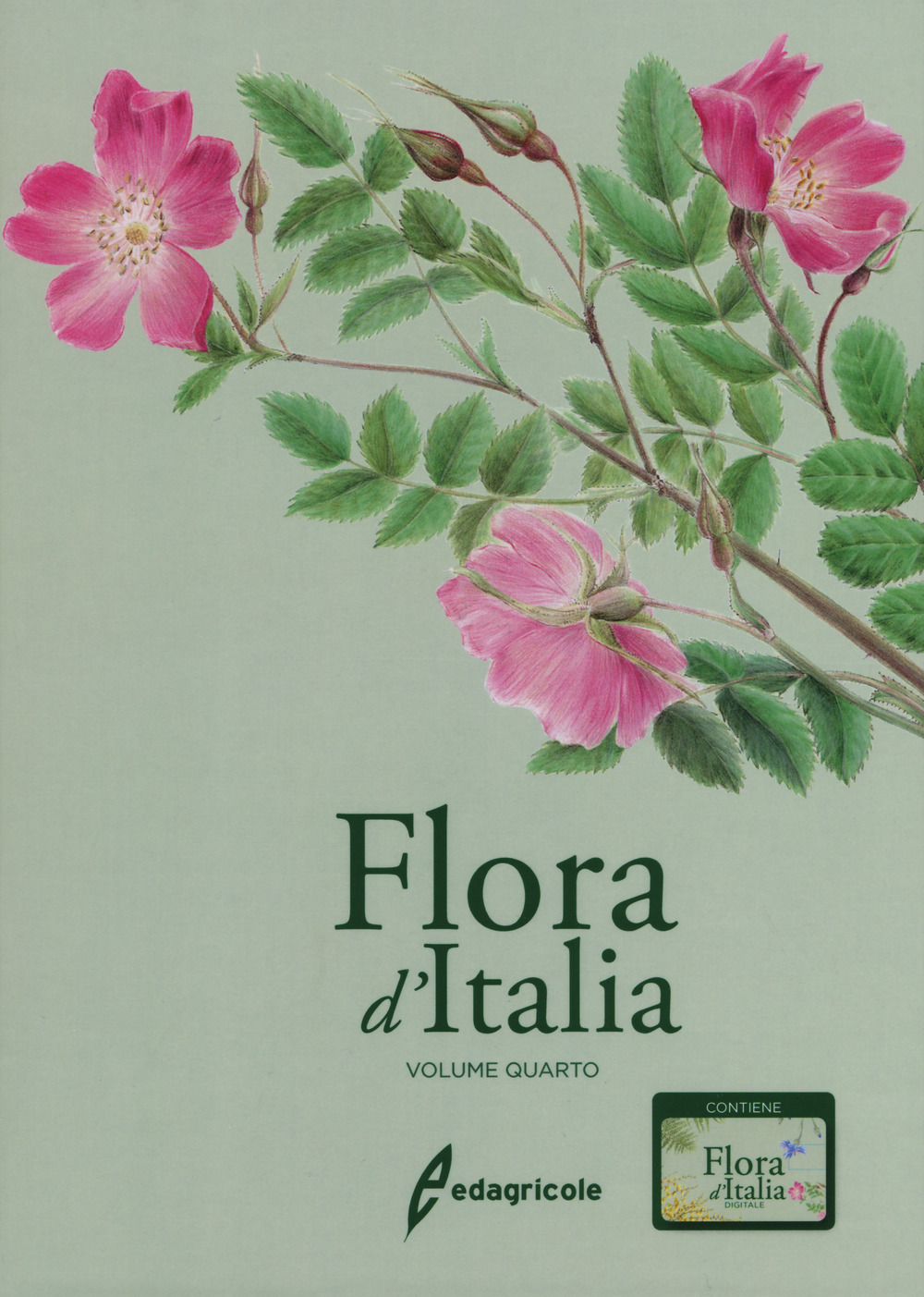 Libri Sandro Pignatti - Flora D'italia. Con USB Flash Drive Vol 04 NUOVO SIGILLATO, EDIZIONE DEL 11/04/2019 SUBITO DISPONIBILE