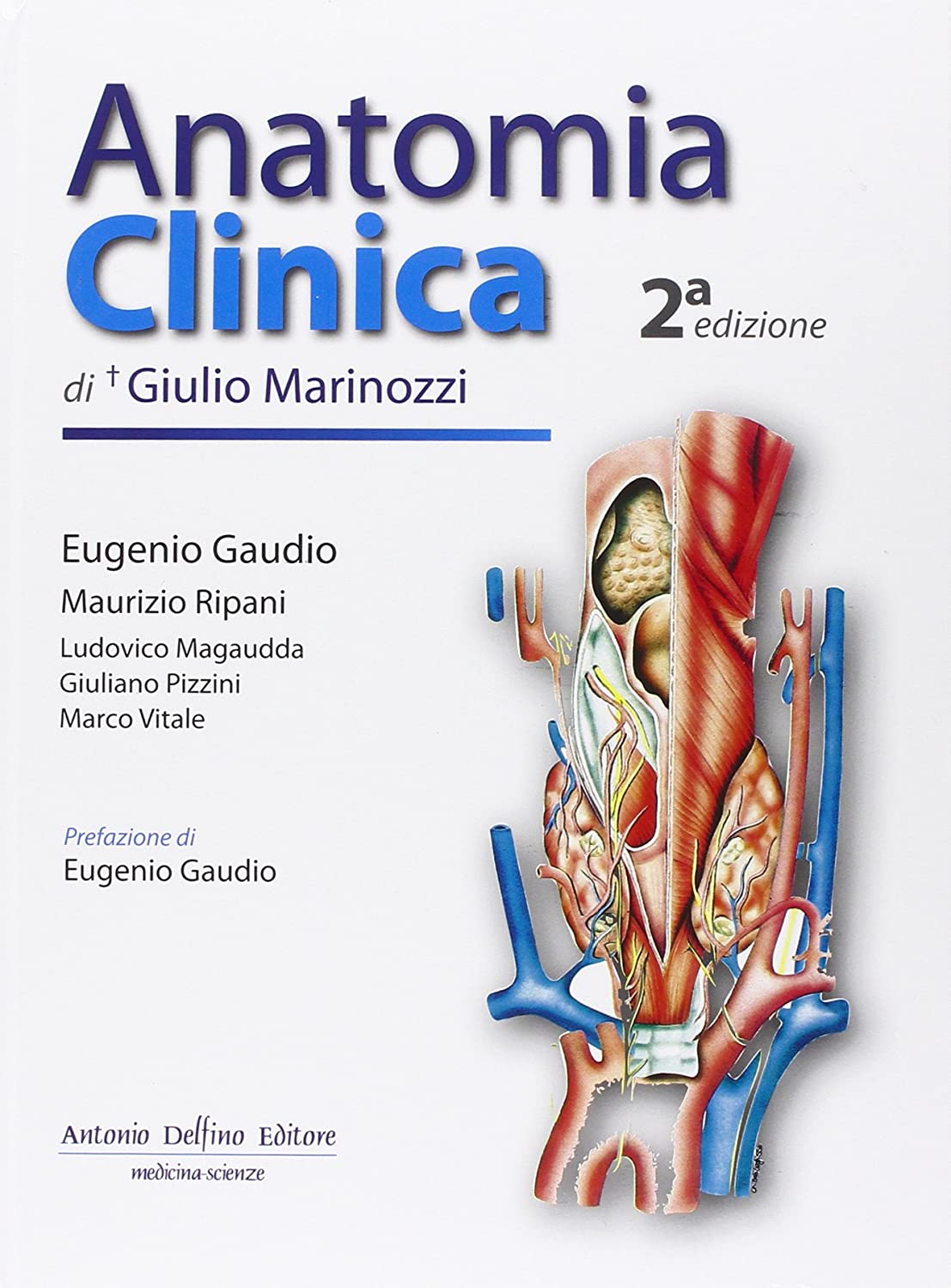 Libri Giulio Marinozzi - Anatomia Clinica NUOVO SIGILLATO, EDIZIONE DEL 25/11/2011 SUBITO DISPONIBILE