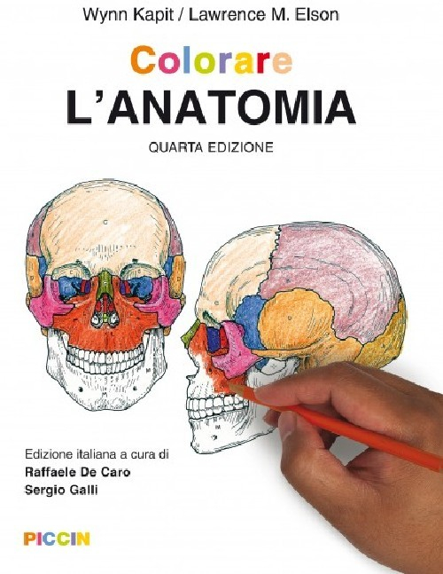Libri Wynn Kapit / Elson Lawrence M. - Colorare L'anatomia NUOVO SIGILLATO, EDIZIONE DEL 10/03/2016 SUBITO DISPONIBILE
