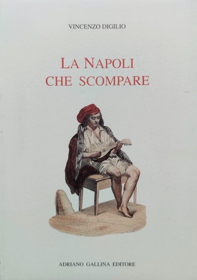 Libri Vincenzo Digilio - La Napoli Che Scompare NUOVO SIGILLATO SUBITO DISPONIBILE