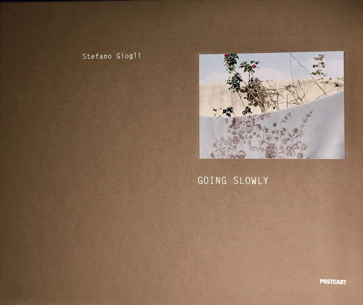 Libri Stefano Giogli - Going Slowly. Andare Piano. Ediz. Illustrata NUOVO SIGILLATO SUBITO DISPONIBILE
