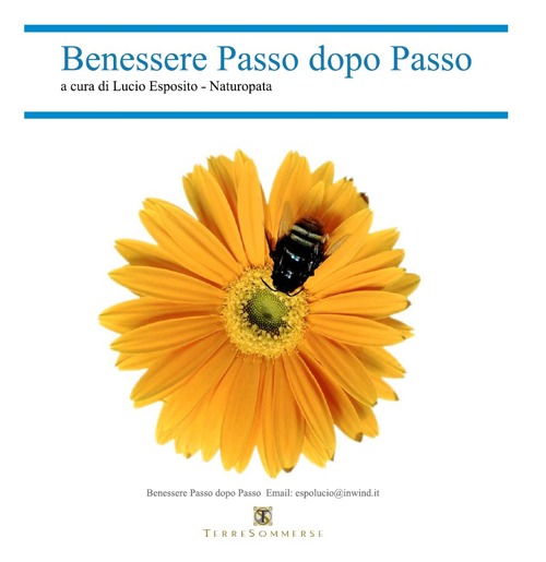 Libri Lucio Esposito - Benessere Passo Dopo Passo. Naturopatia. Con CD Audio NUOVO SIGILLATO, EDIZIONE DEL 10/01/2014 SUBITO DISPONIBILE