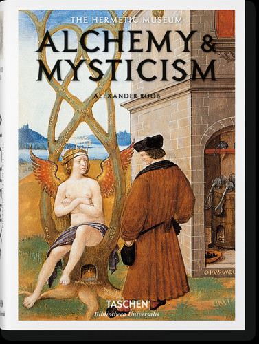 Libri Alexander Roob - Alchemy & Mysticism (English Edition) NUOVO SIGILLATO, EDIZIONE DEL 15/01/2014 SUBITO DISPONIBILE