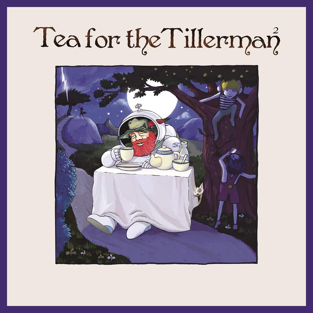 Vinile Cat Stevens - Tea For The Tillerman 2 NUOVO SIGILLATO EDIZIONE DEL SUBITO DISPONIBILE