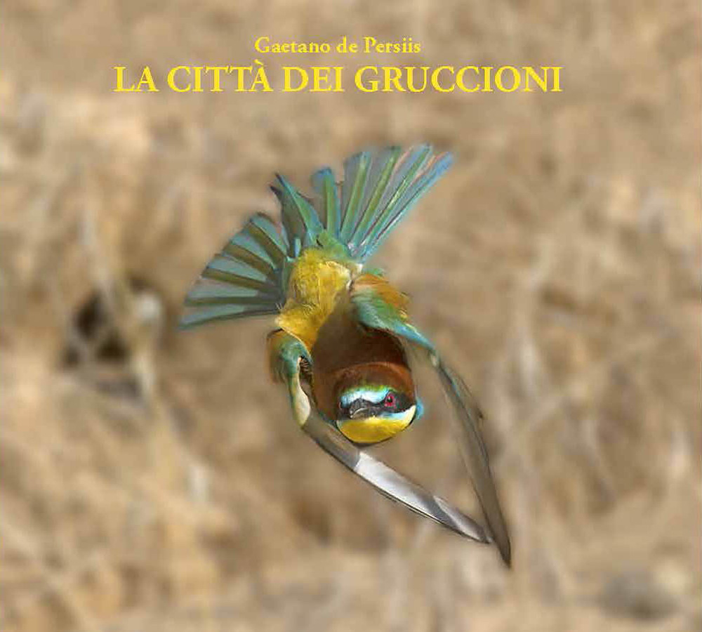 Libri De Persiis Gaetano - La Citta Dei Gruccioni. Ediz. Illustrata NUOVO SIGILLATO, EDIZIONE DEL 03/11/2020 SUBITO DISPONIBILE