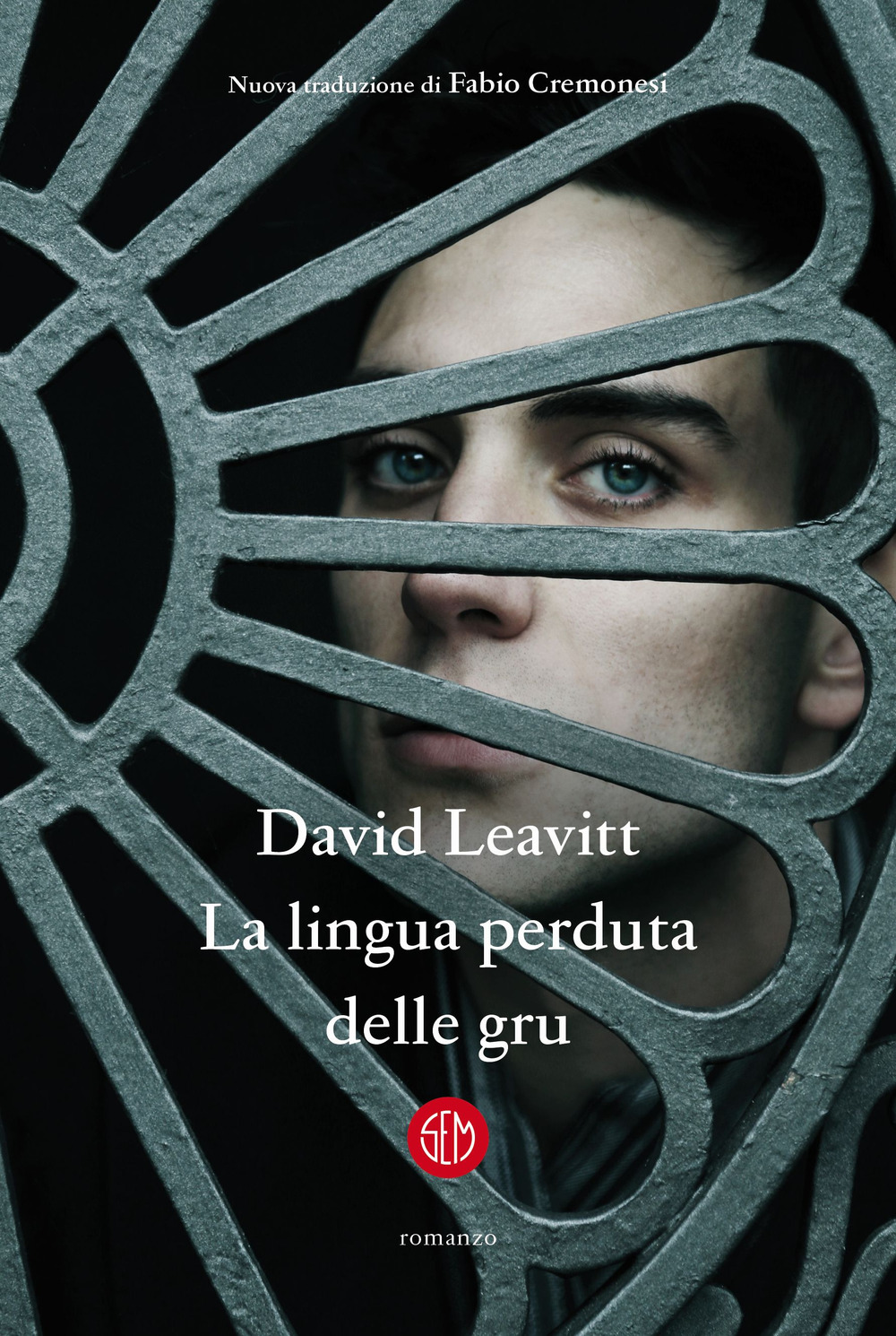 Libri David Leavitt - La Lingua Perduta Delle Gru NUOVO SIGILLATO, EDIZIONE DEL 17/02/2022 SUBITO DISPONIBILE