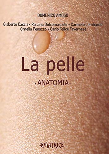 Libri Domenico Amuso - La Pelle. Anatomia NUOVO SIGILLATO, EDIZIONE DEL 27/05/2021 SUBITO DISPONIBILE