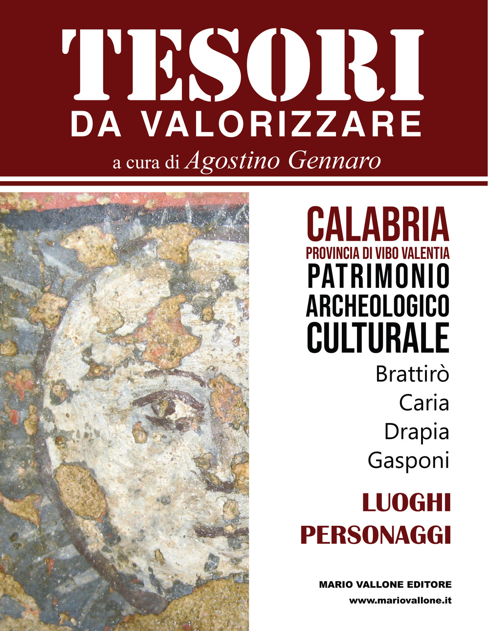 Libri Tesori Da Valorizzare. Calabria, Provincia Di Vibo Valentia Vol 01 NUOVO SIGILLATO SUBITO DISPONIBILE