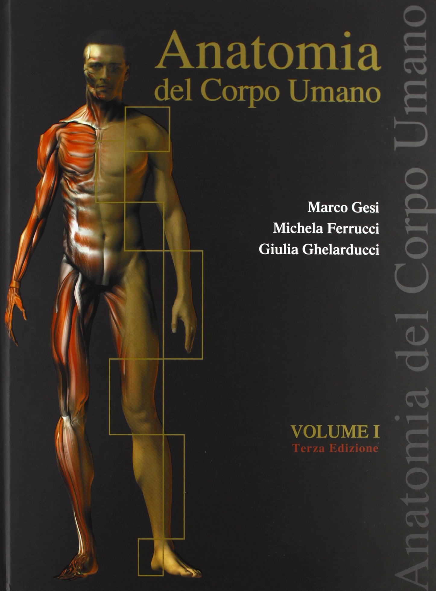 Libri Marco Gesi / Michela Ferrucci / Isabella Ghelarducci - Anatomia Del Corpo Umano Vol 01 NUOVO SIGILLATO, EDIZIONE DEL 11/08/2021 SUBITO DISPONIBILE