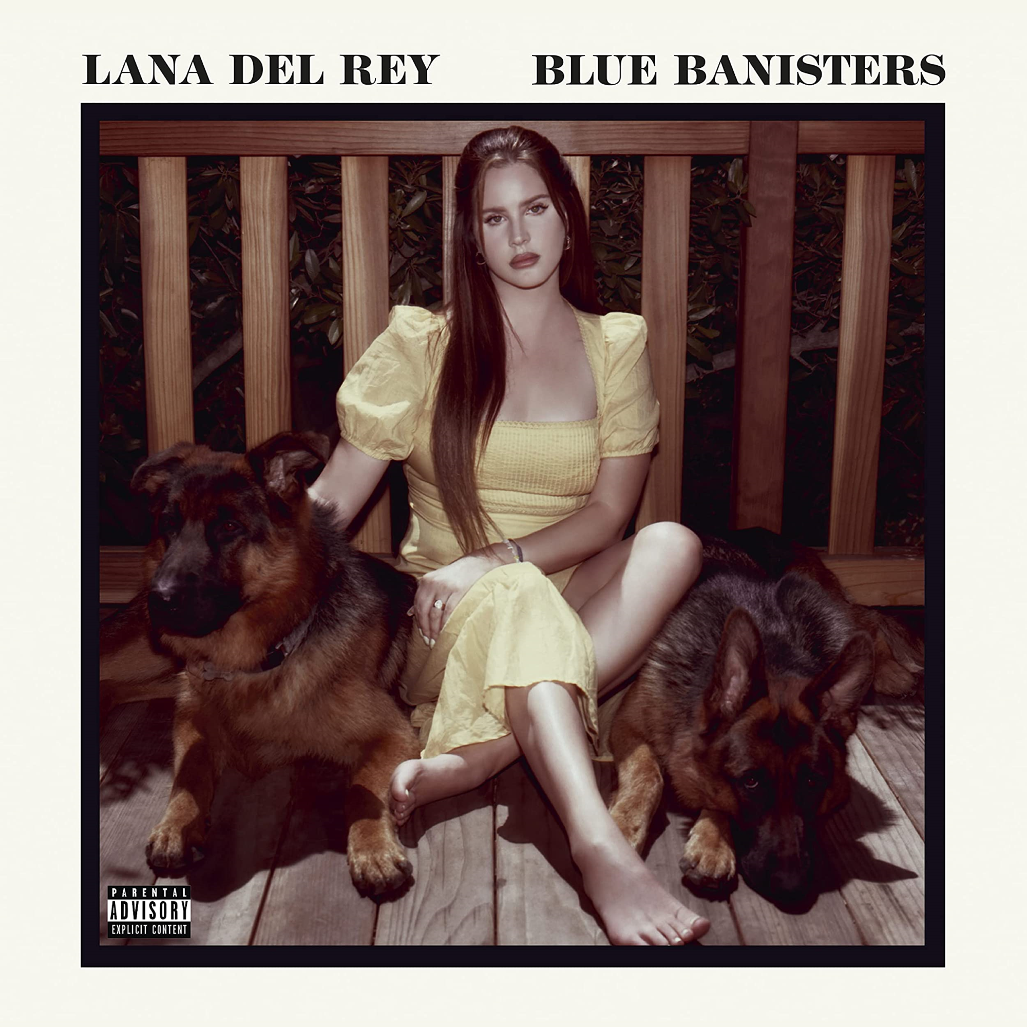 Vinile Lana Del Rey - Blue Banisters NUOVO SIGILLATO, EDIZIONE DEL 05/02/2022 SUBITO DISPONIBILE