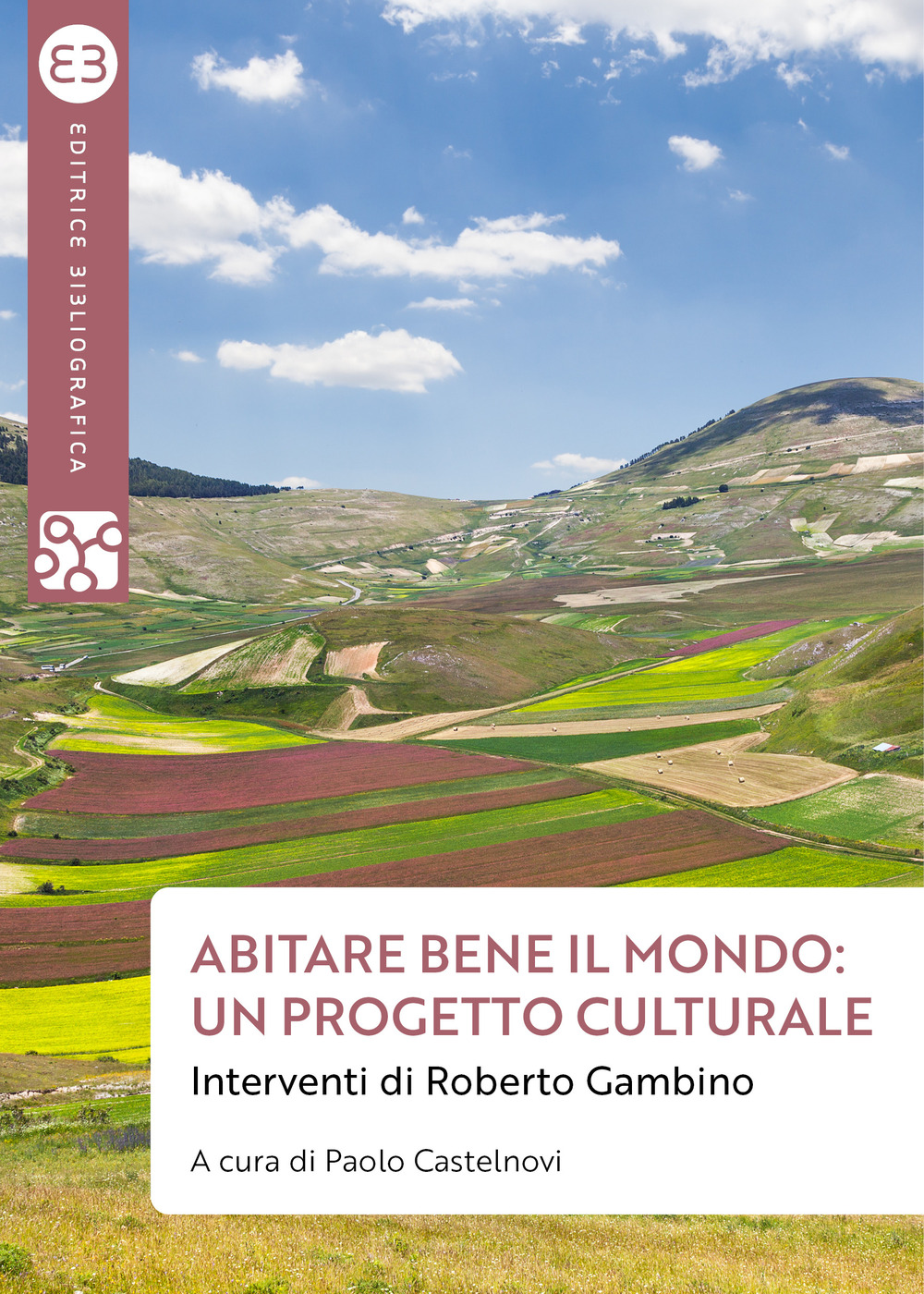 Libri Abitare Bene Il Mondo: Un Progetto Culturale. Interventi Di Roberto Gambino NUOVO SIGILLATO, EDIZIONE DEL 19/05/2022 SUBITO DISPONIBILE