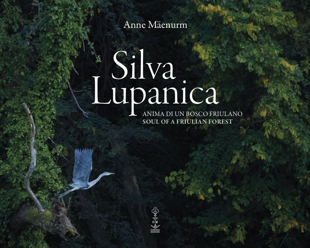 Libri Maenurm Anne - Silva Lupanica. Anima Di Un Bosco Friulano-Soul Of A Friulian Forest. Ediz. Bilingue NUOVO SIGILLATO SUBITO DISPONIBILE