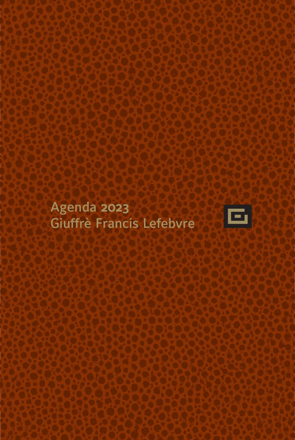 Libri Agenda Personale Cuoio 2023 NUOVO SIGILLATO, EDIZIONE DEL 01/01/2021 SUBITO DISPONIBILE