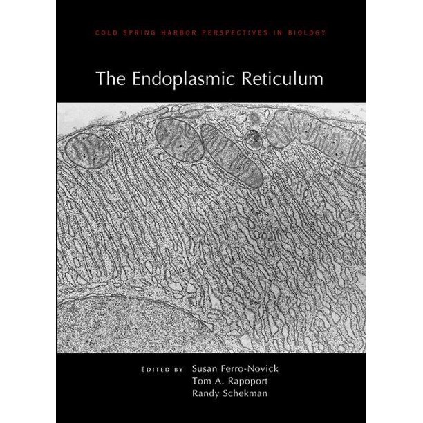 Libri Endoplasmic Reticulum Cb NUOVO SIGILLATO, EDIZIONE DEL 28/02/2013 SUBITO DISPONIBILE