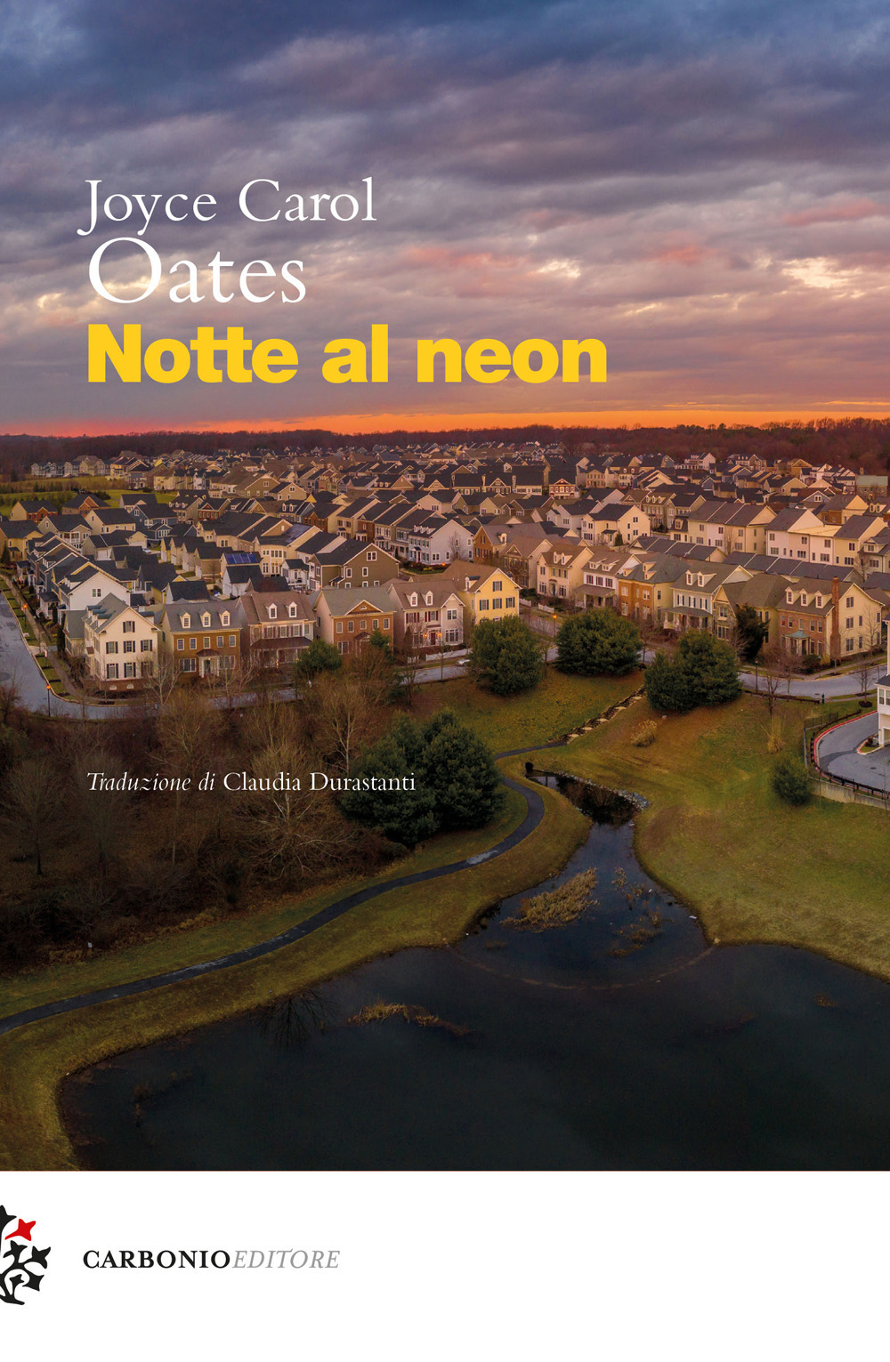 Libri Joyce Carol Oates - Notte Al Neon NUOVO SIGILLATO, EDIZIONE DEL 18/11/2022 SUBITO DISPONIBILE