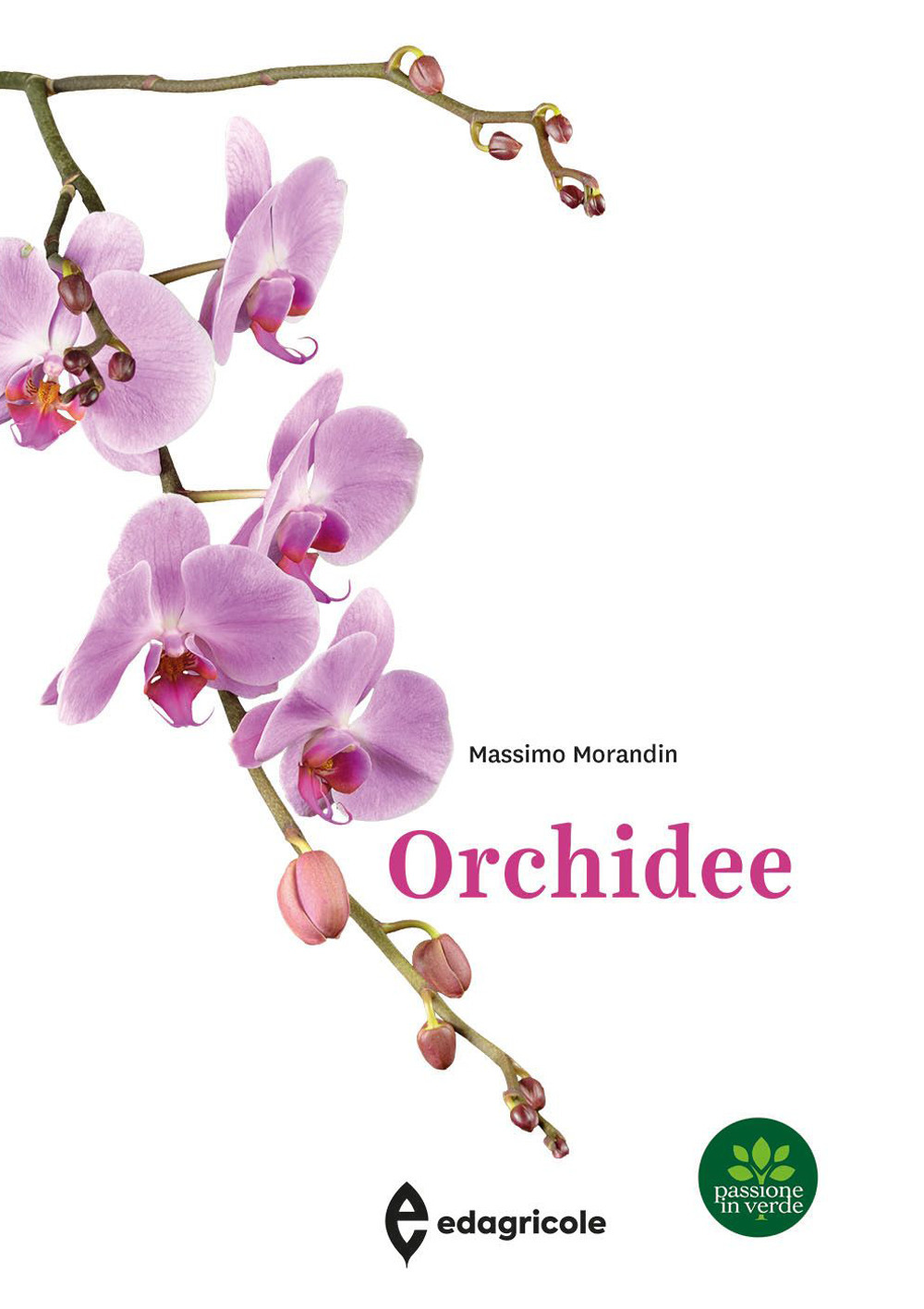 Libri Morandin Massimo - Orchidee NUOVO SIGILLATO, EDIZIONE DEL 06/01/2023 SUBITO DISPONIBILE